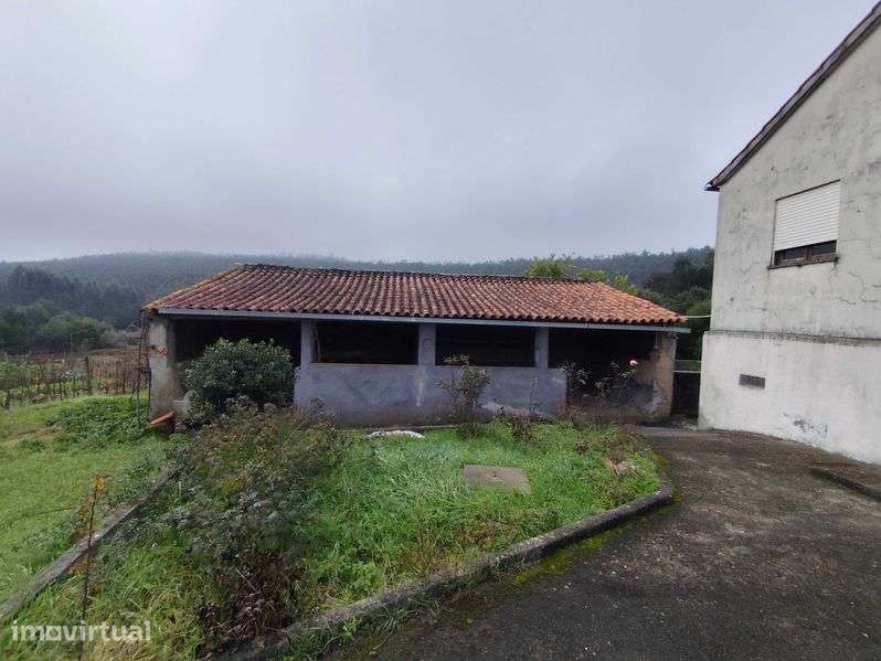 Moradia Isolada para Recuperar com Terreno - Grande imagem: 5/12