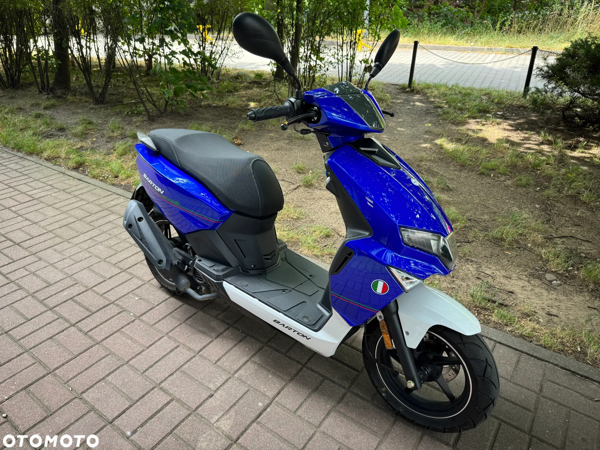 Barton Active - 7
