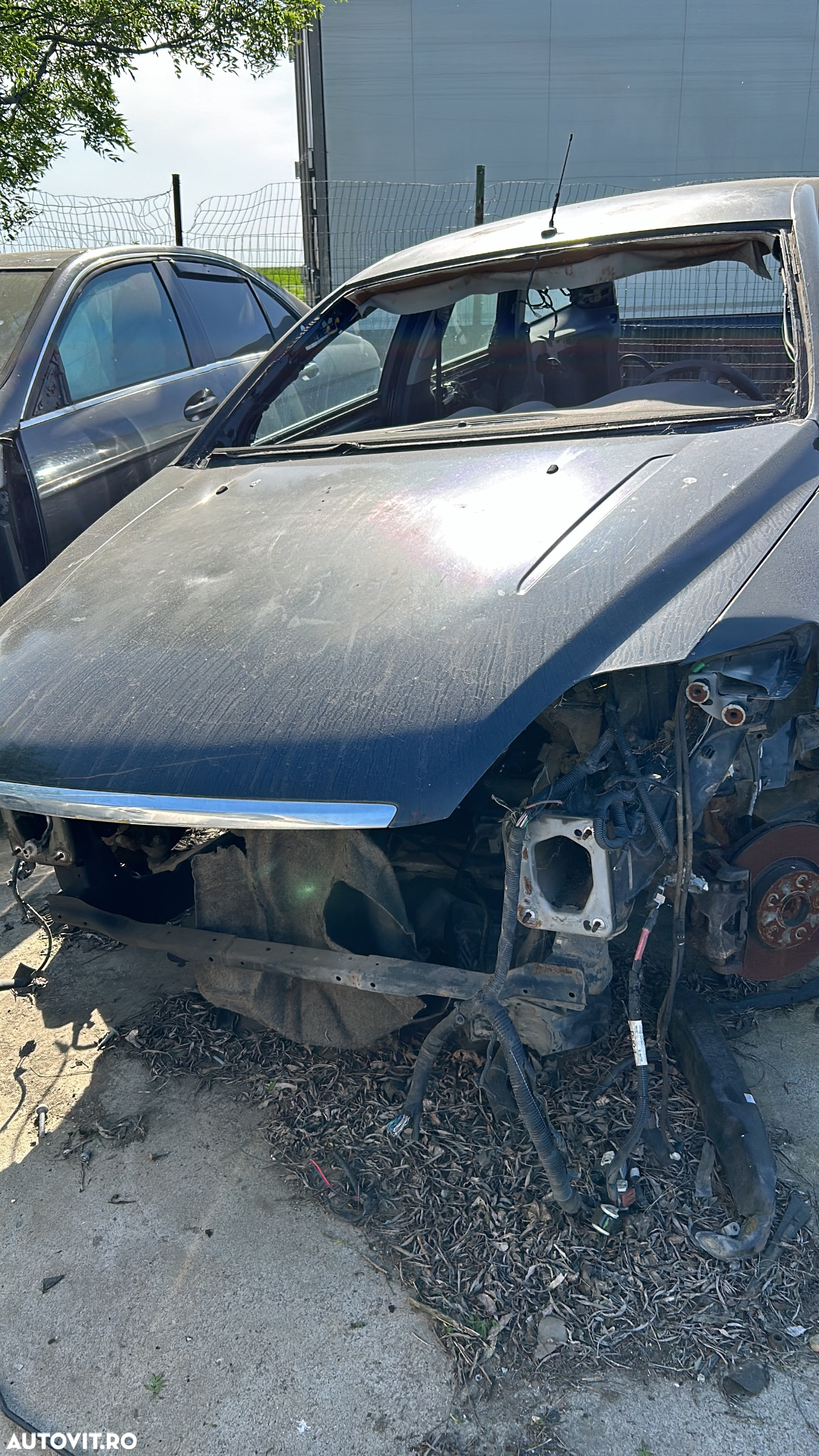 Dezbatere  o glumă largă de  autoturisme - 7
