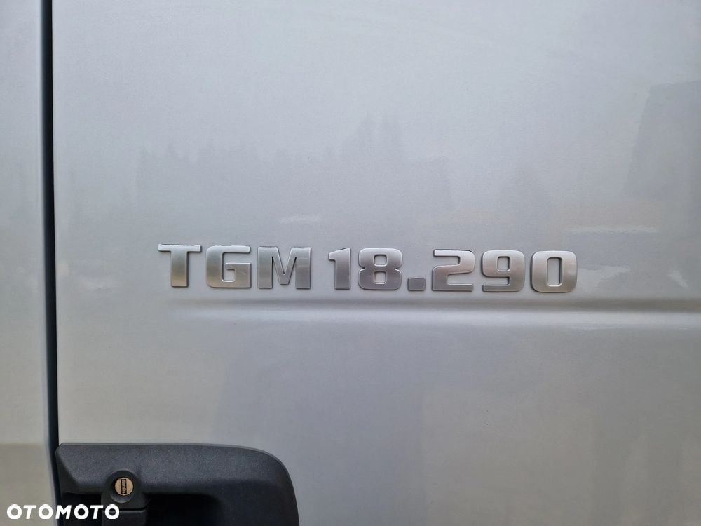 MAN MAN TGM 18290 CHŁODNIA CARRIER 1250 MT 380V - 9