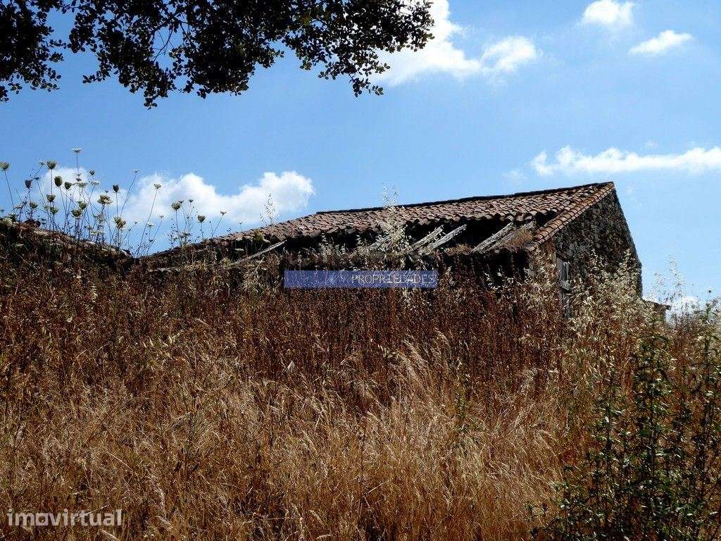 Herdade 162,5ha no Alentejo. Portugal, Beja, Almodôvar - Grande imagem: 2/9