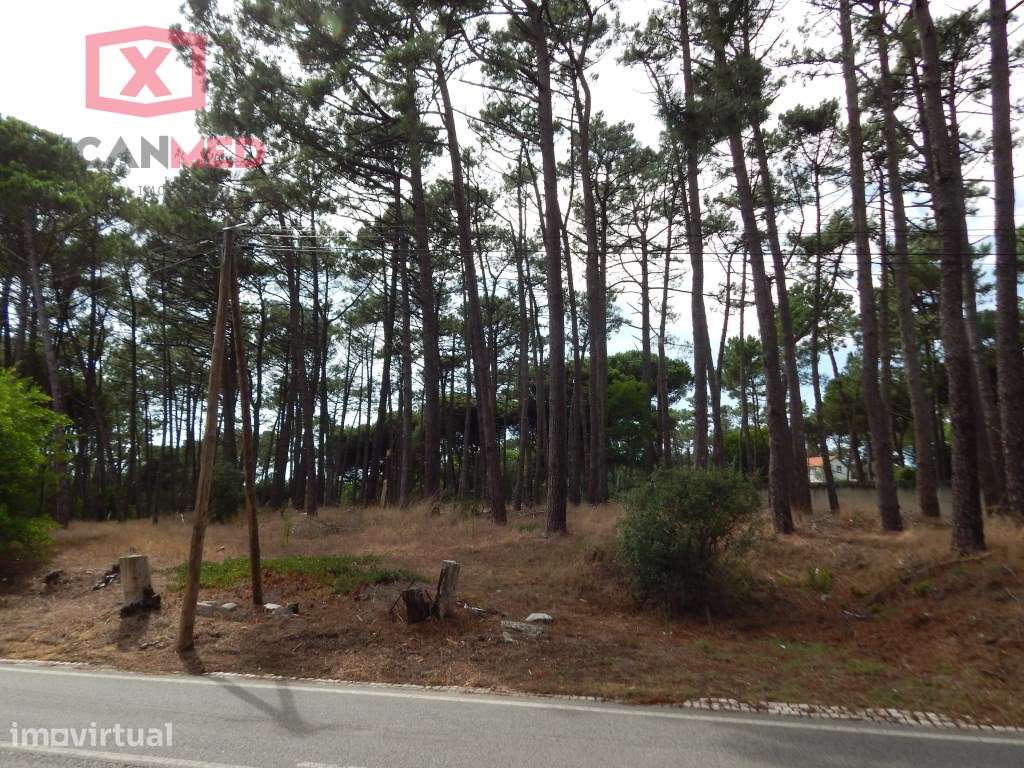 Terreno em Janas - Grande imagem: 4/8