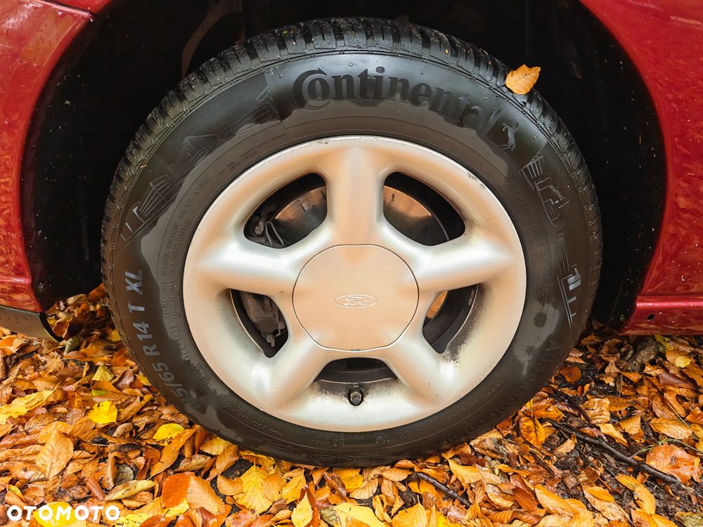 Ford Focus 1.6 Ghia - 26