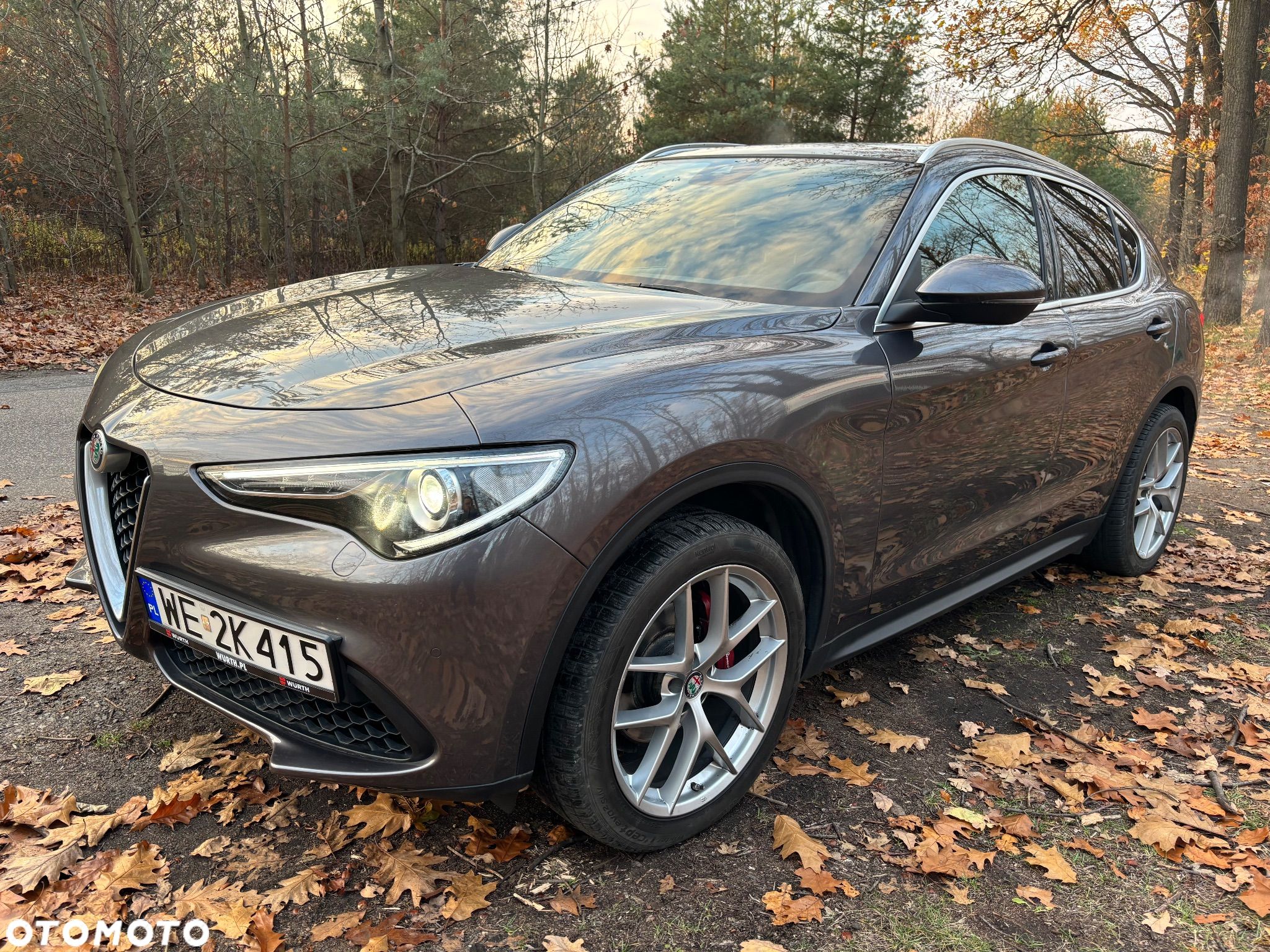Alfa Romeo Stelvio 2.0 Turbo Super Q4 - 1