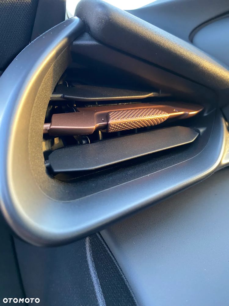 Cupra Terramar 1.5 eTSI mHEV DSG - 19