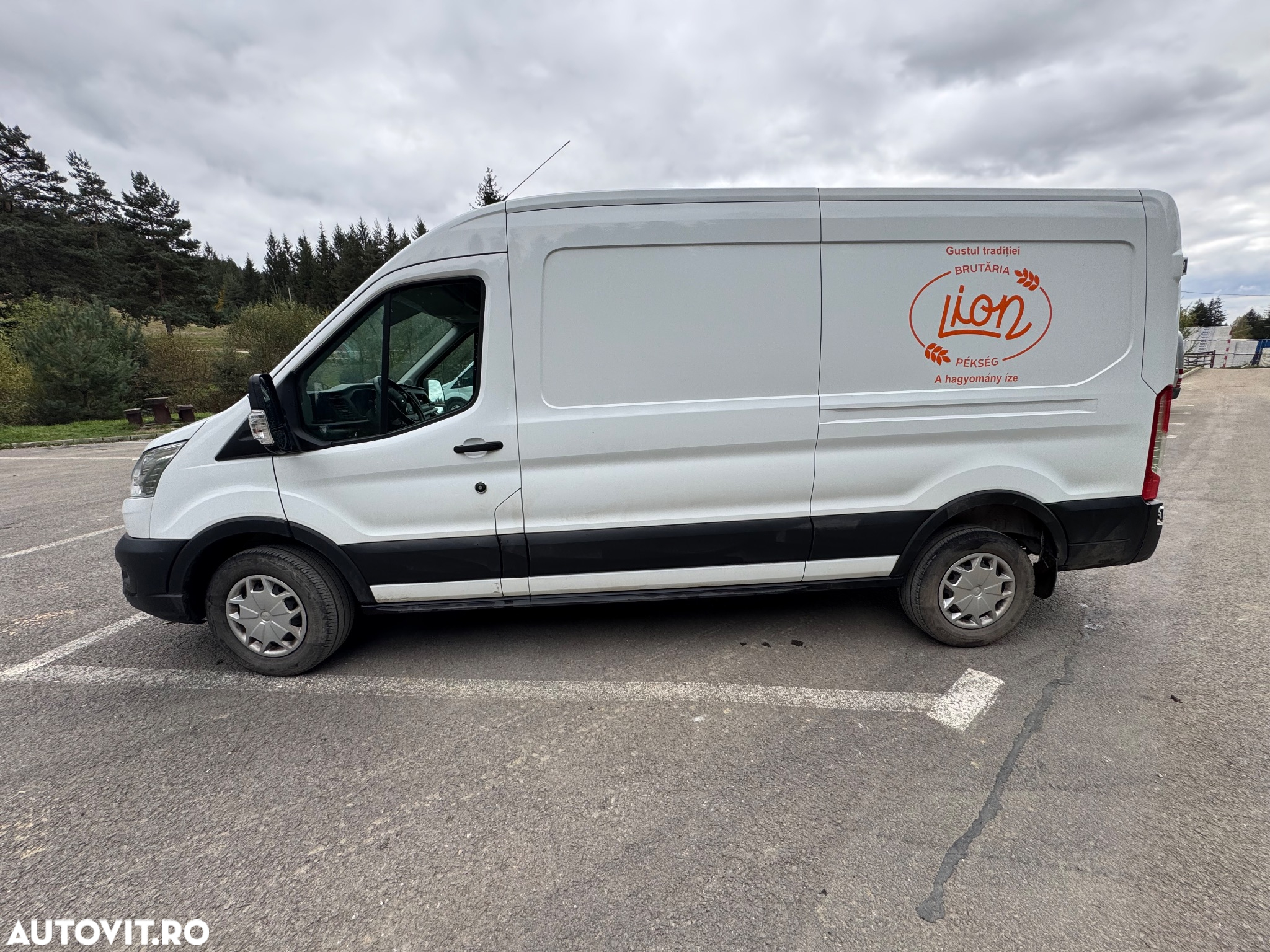 Ford Transit - 3