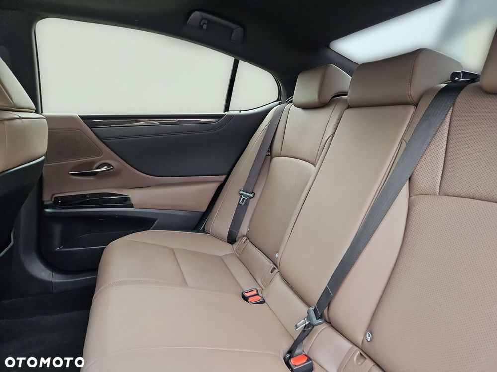 Lexus ES 300h F Sport Design - 21