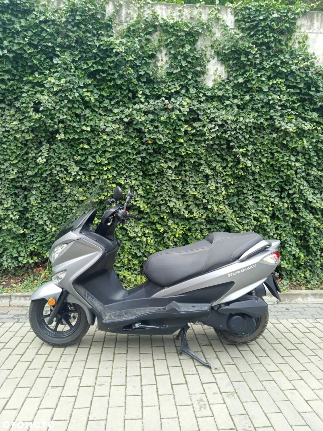 Suzuki Burgman - 1
