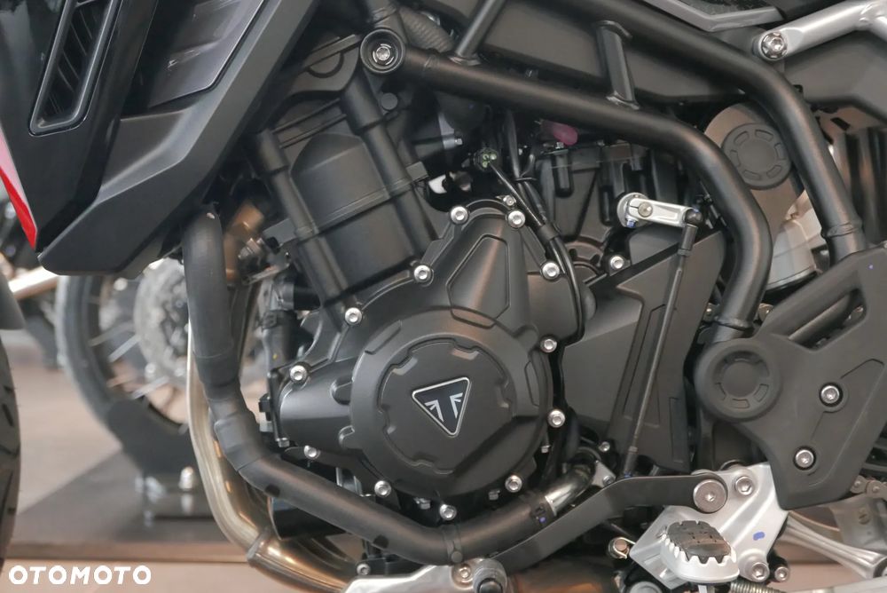 Triumph Tiger - 16