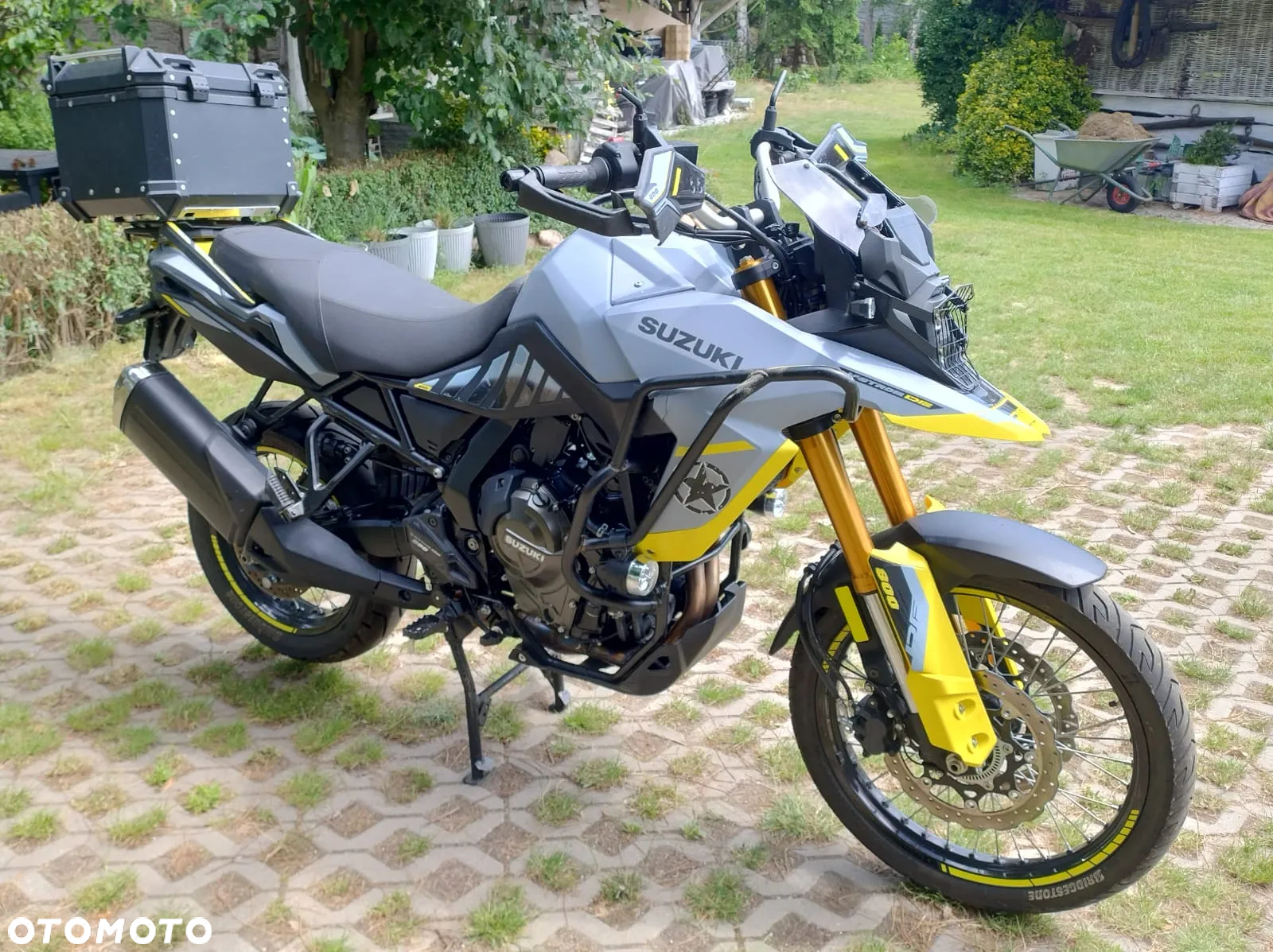 Suzuki DL - 3