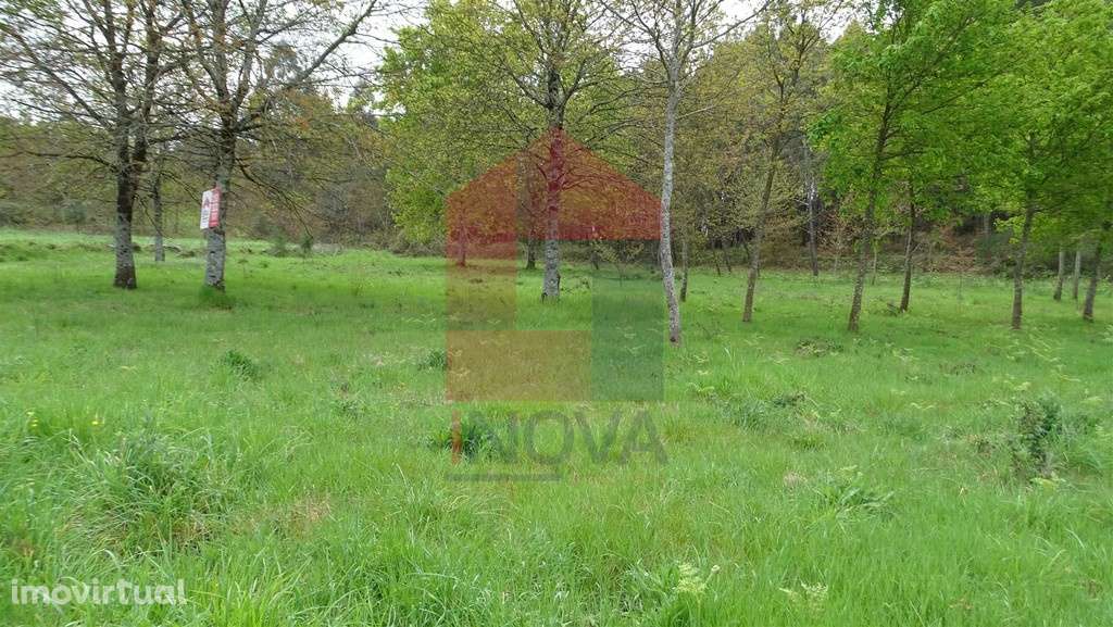 Vende-se Terreno, Coucieiro - Grande imagem: 3/7