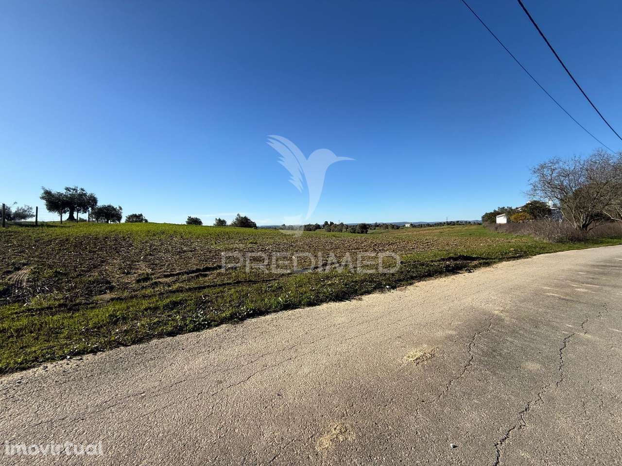 Oportunidade Única no Ribatejo Armazém Agrícola para Restaurar | ~3... - Grande imagem: 5/31