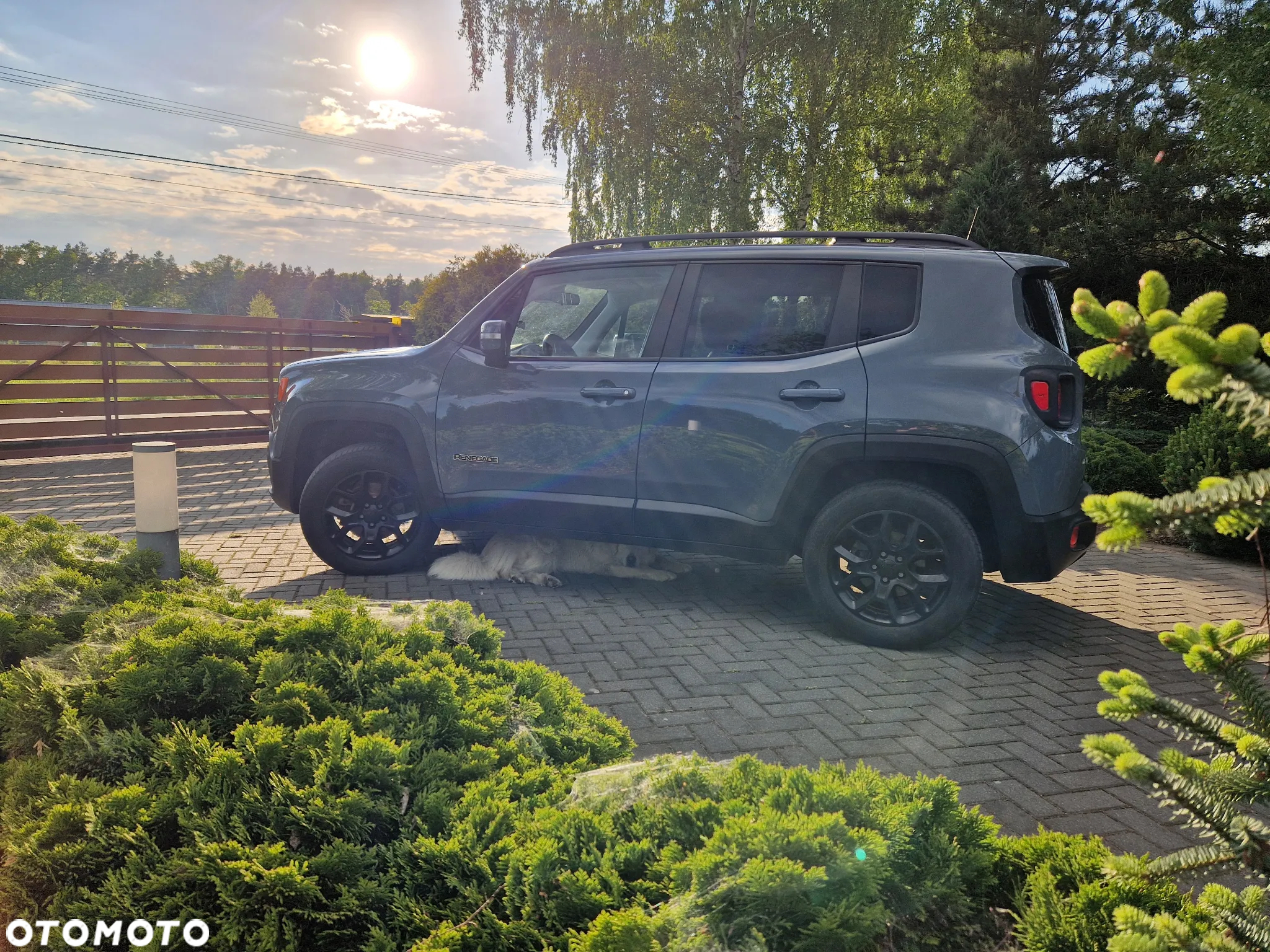 Jeep Renegade - 7