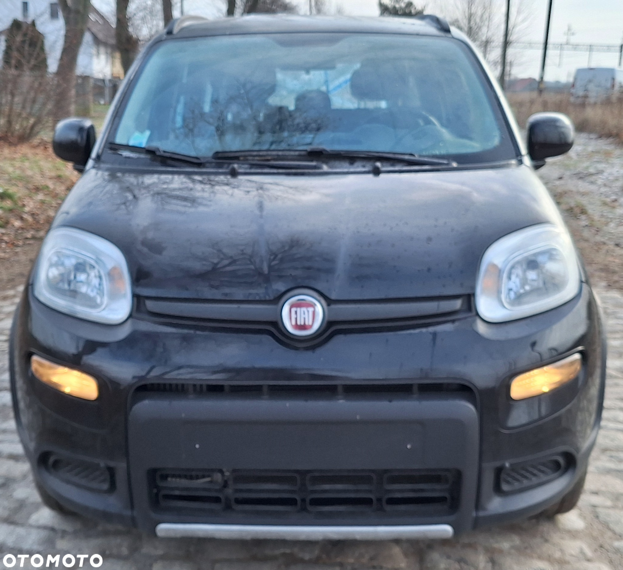 Fiat Panda 0.9 TwinAir Climbing S&S 4x4 - 5