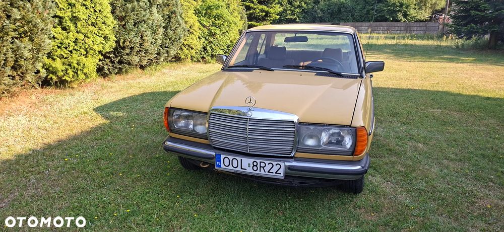 Mercedes-Benz W123 - 4