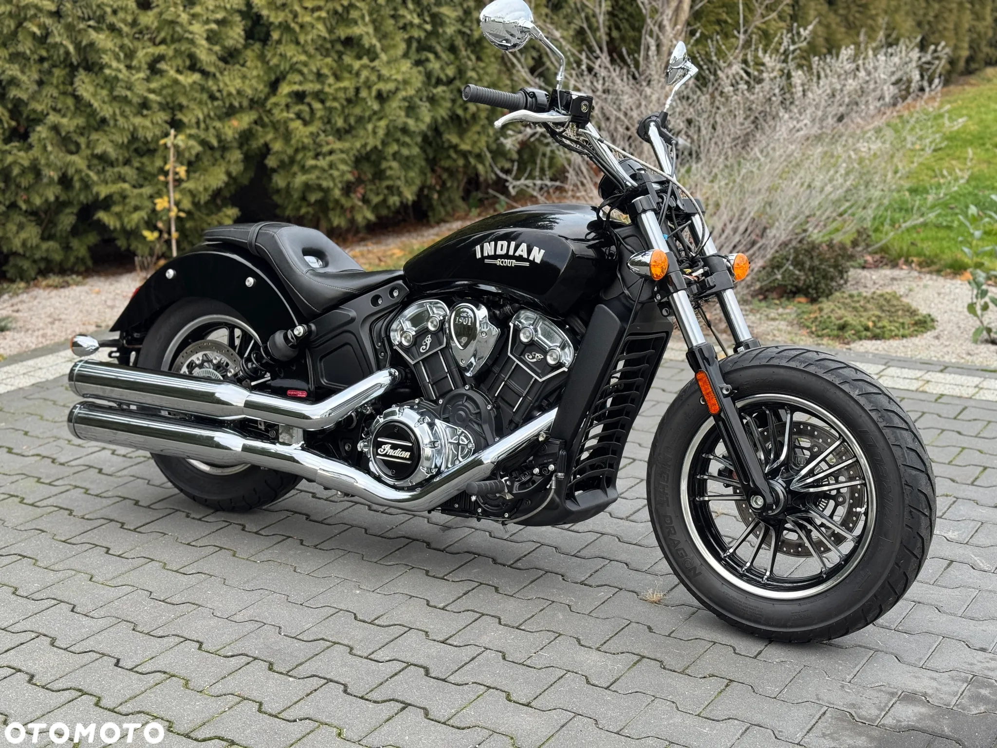 Indian Scout - 2