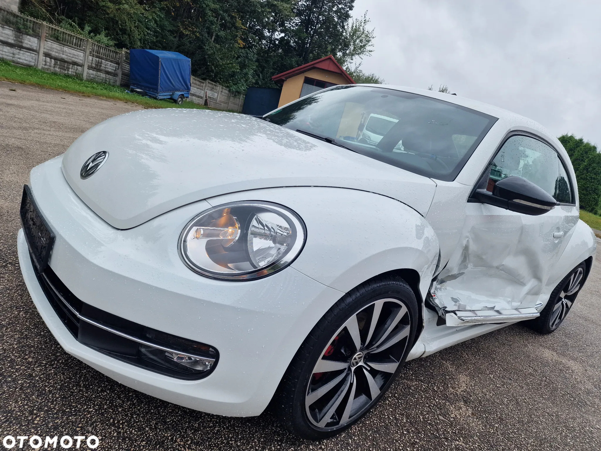 Volkswagen Beetle - 9