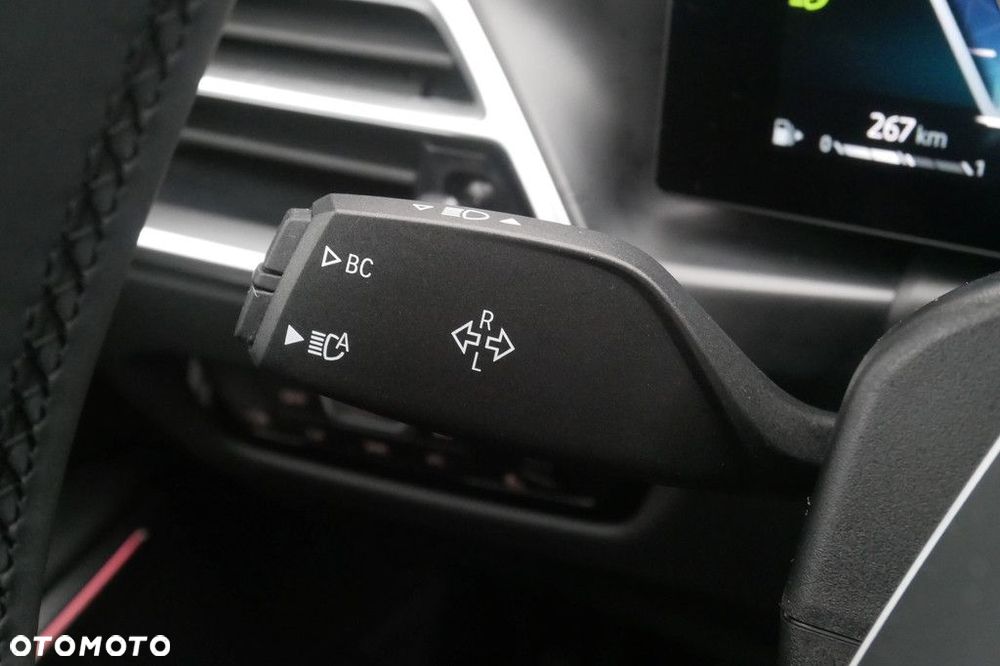 BMW Seria 3 - 33