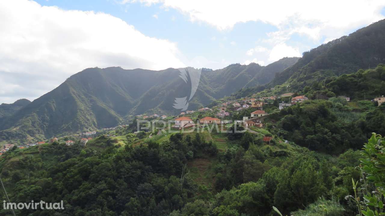TERRENO E PALHEIRO NO PORTO DA CRUZ COM 3.740M2 - Grande imagem: 2/6