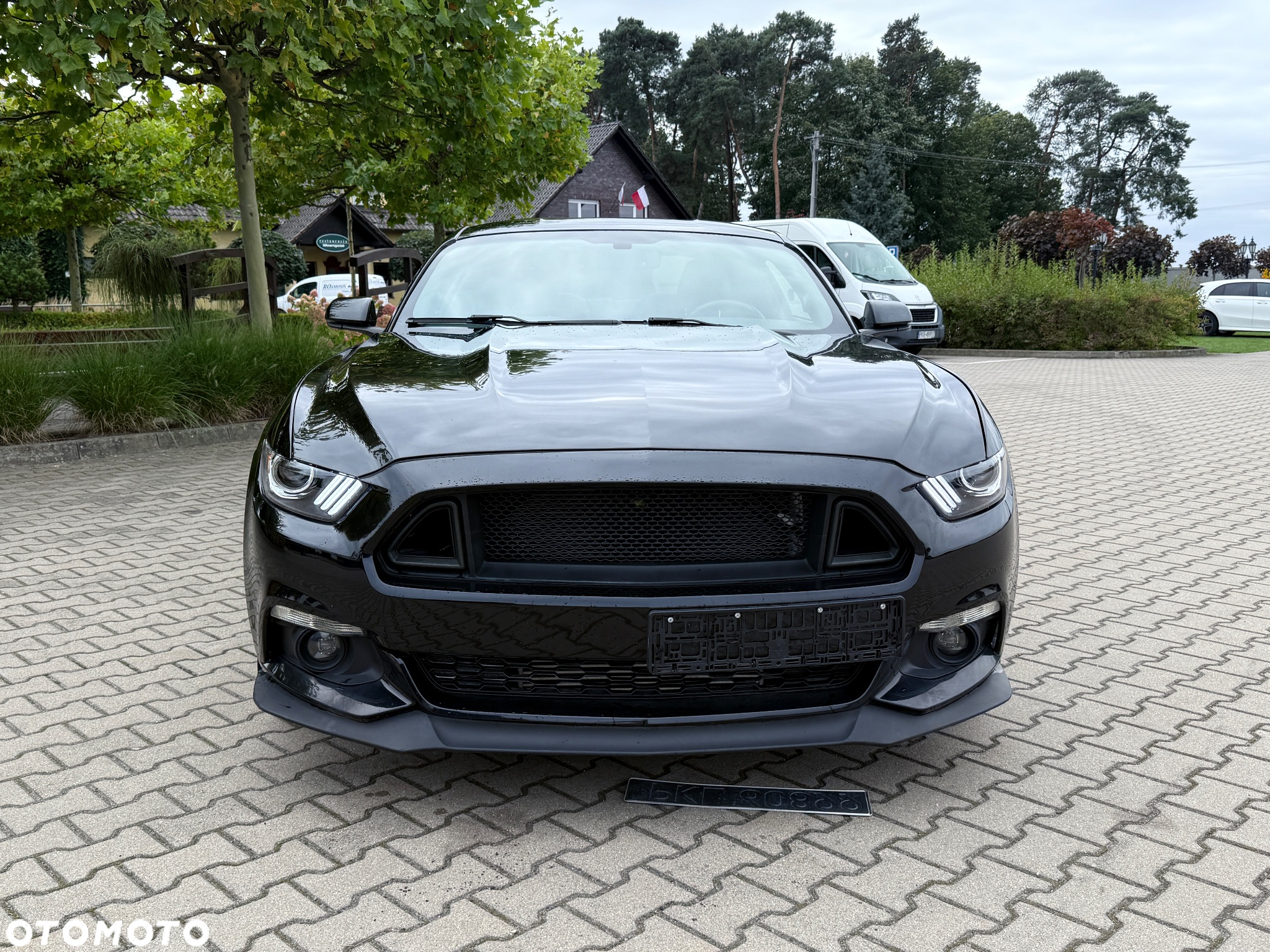 Ford Mustang 2.3 EcoBoost - 5