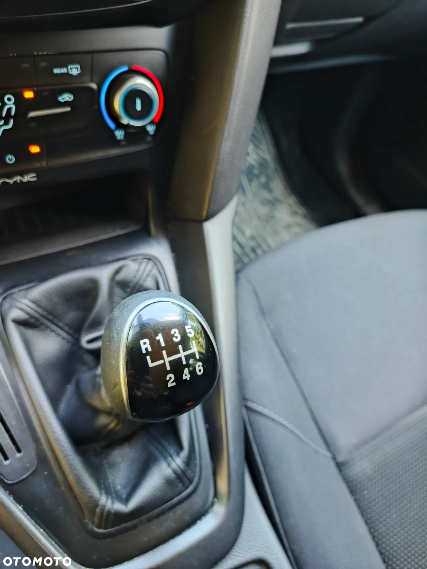 Ford Focus - 10