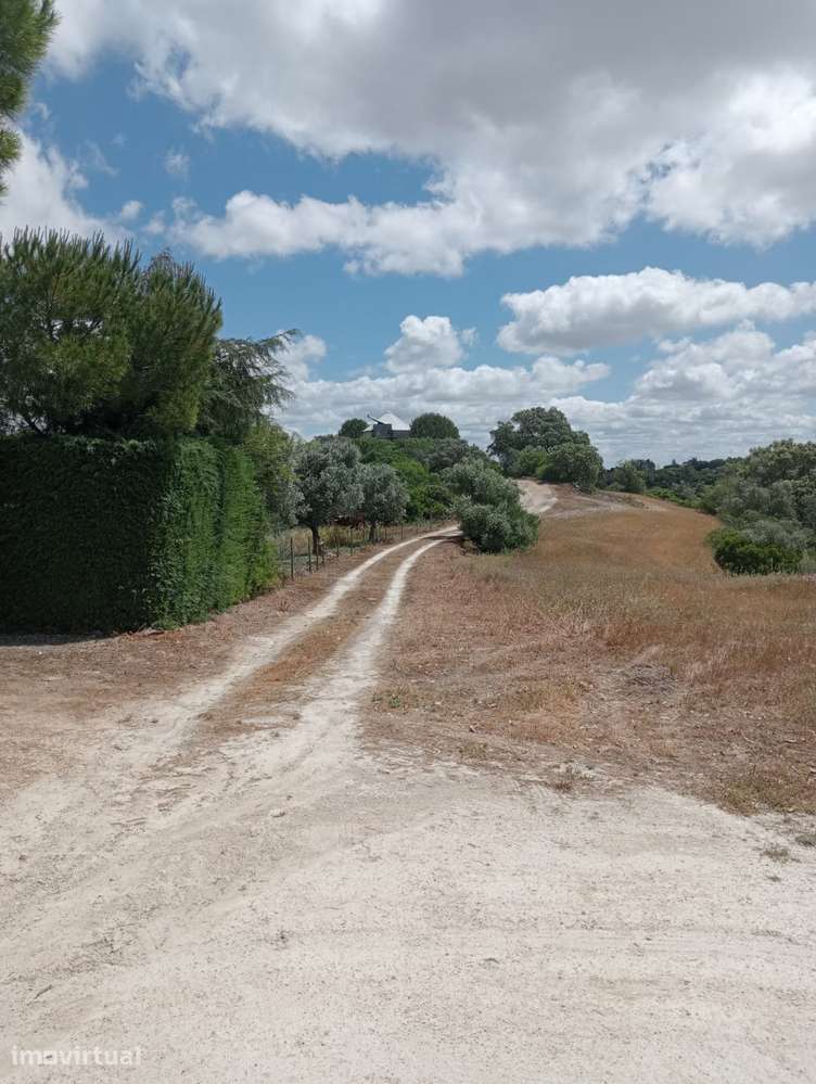 Terreno Urbano de 4,872 hectares em Santarém - Grande imagem: 5/12