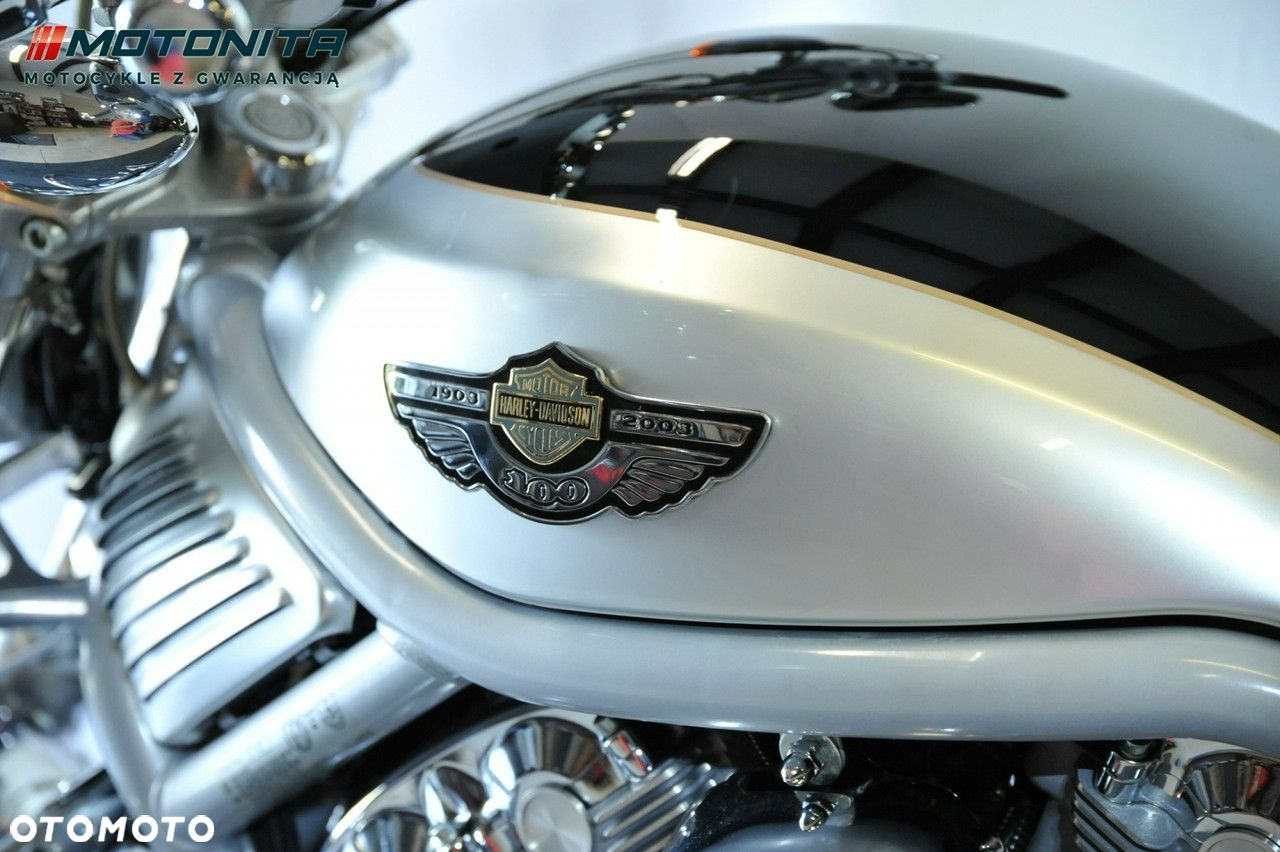 Harley-Davidson Softail V-Rod - 19