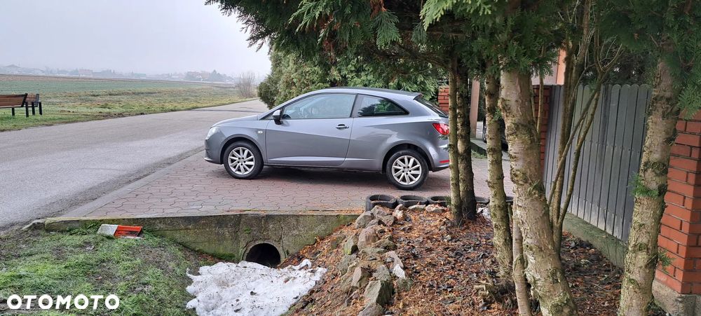 Seat Ibiza - 22