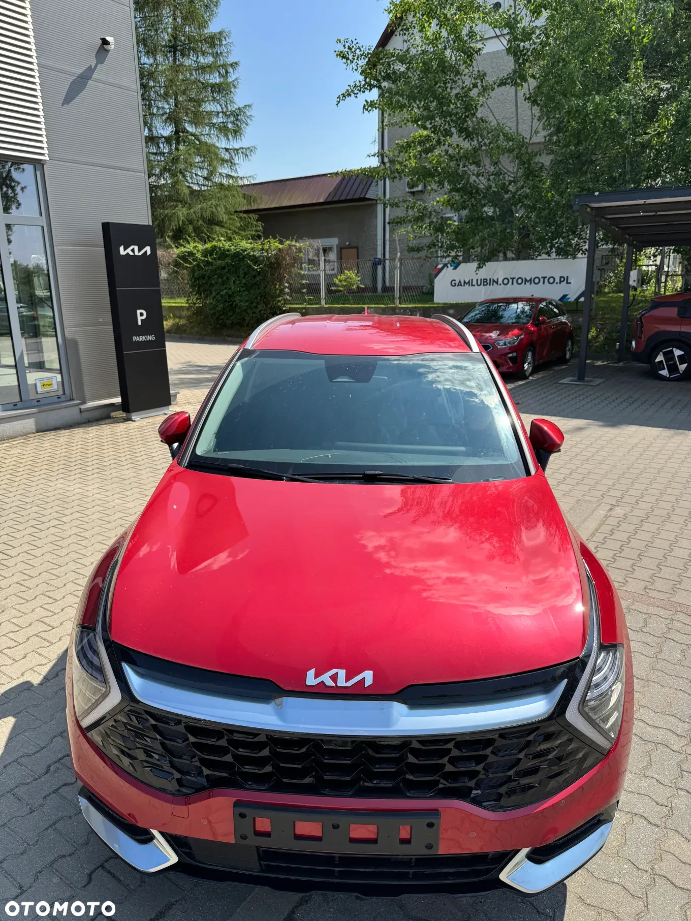 Kia Sportage 1.6 T-GDI HEV Business Line 2WD - 12