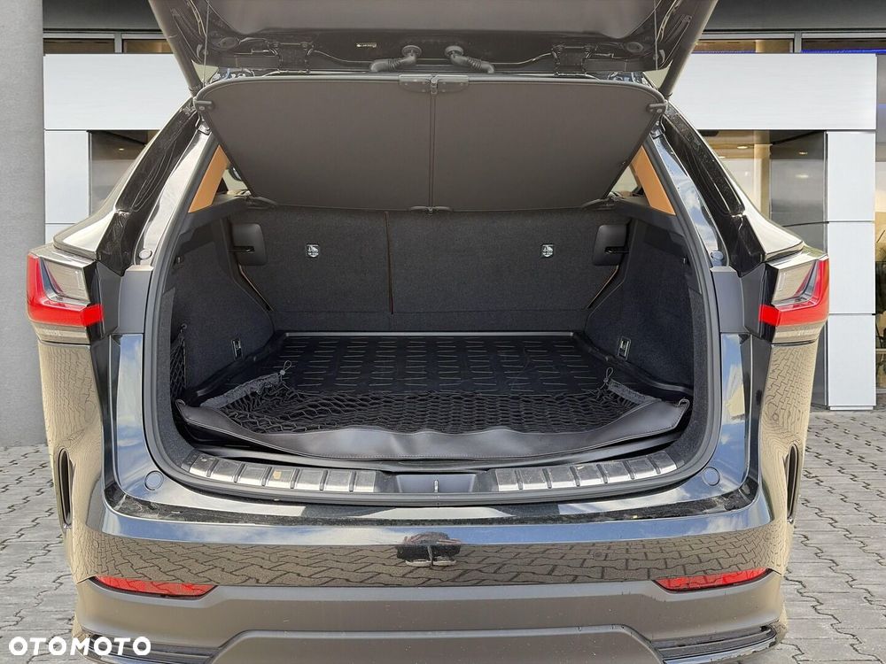 Lexus NX - 12