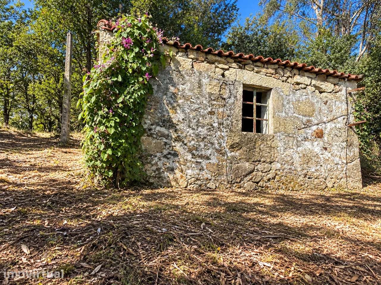 Propriedade com Duas Moradias em Ruína e Terreno boscoso em Gondoriz, - Grande imagem: 2/20