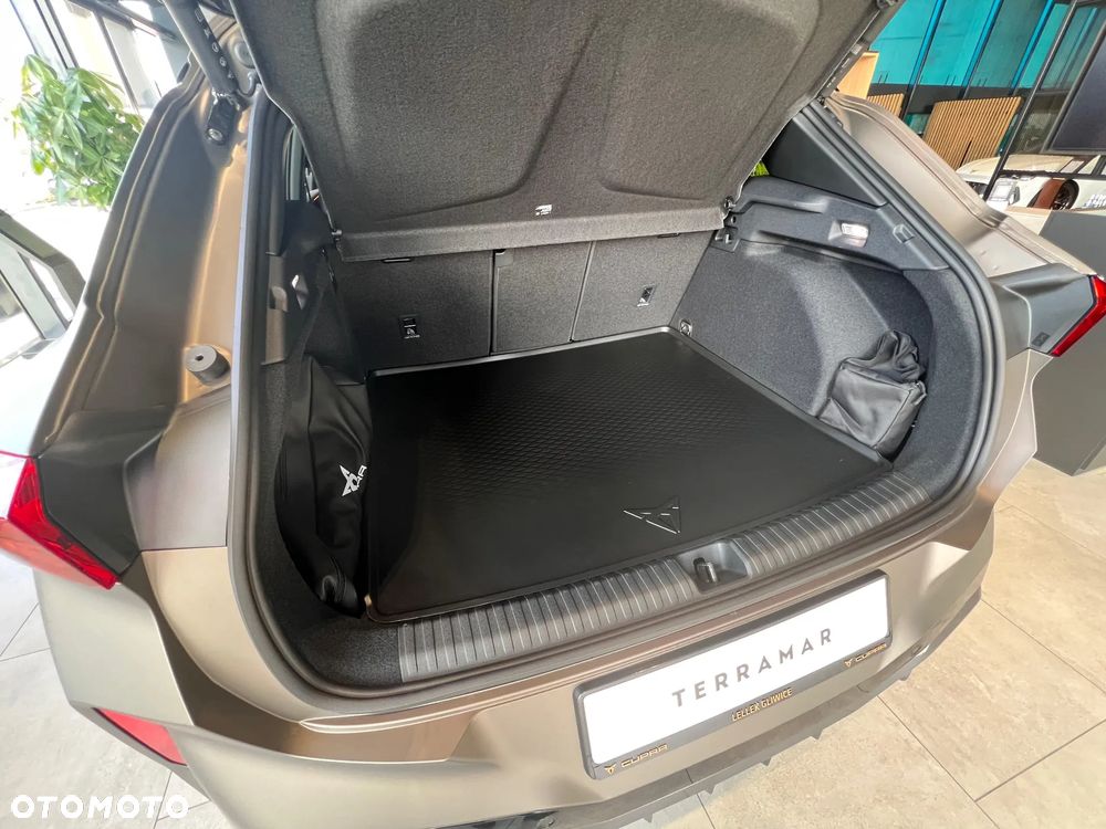 Cupra Terramar 2.0 TSI 4Drive Advantage Edition DSG - 19