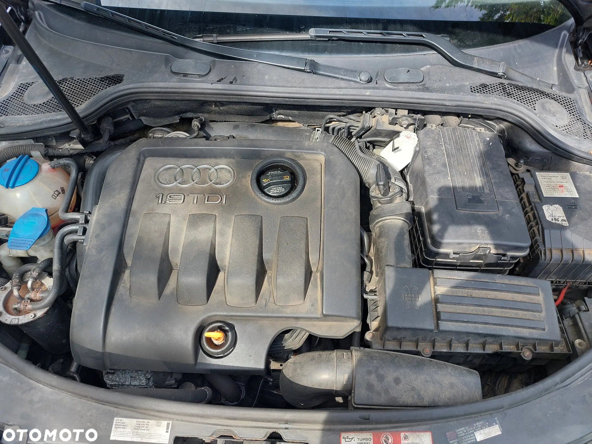 Audi A3 1.9 TDI Ambition - 8