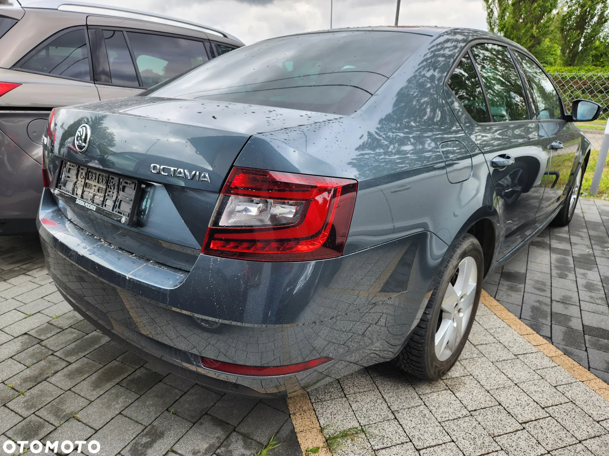 Skoda Octavia 1.6 TDI Business - 3
