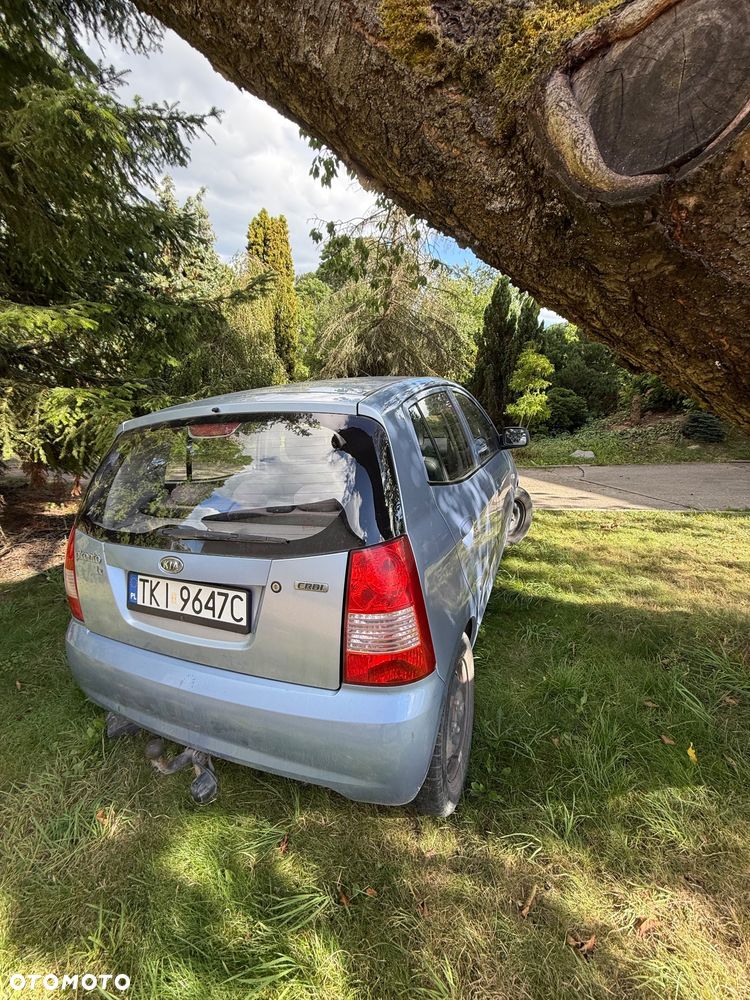 Kia Picanto - 6