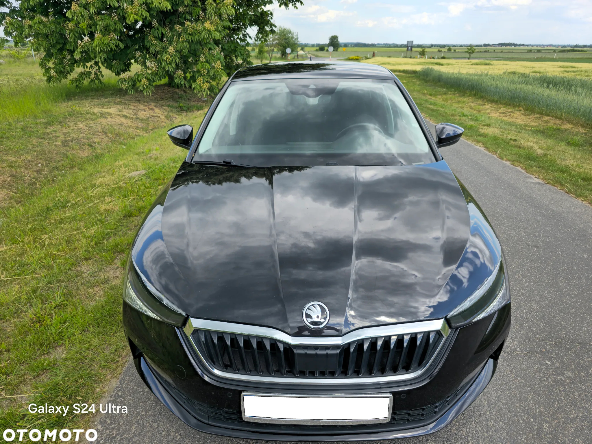Skoda Scala 1.0 TSI Ambition DSG - 5