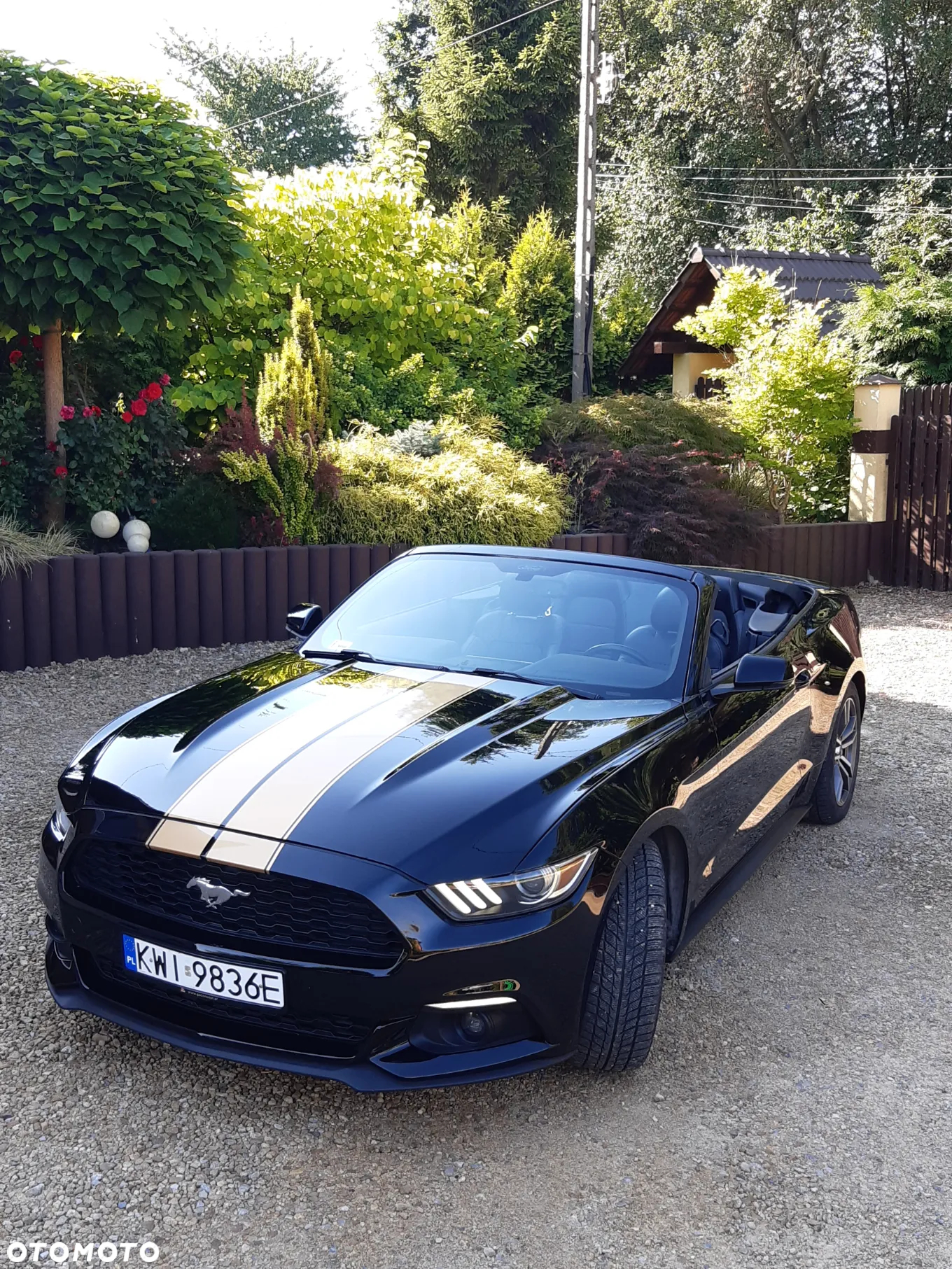 Ford Mustang Cabrio 2.3 Eco Boost - 15