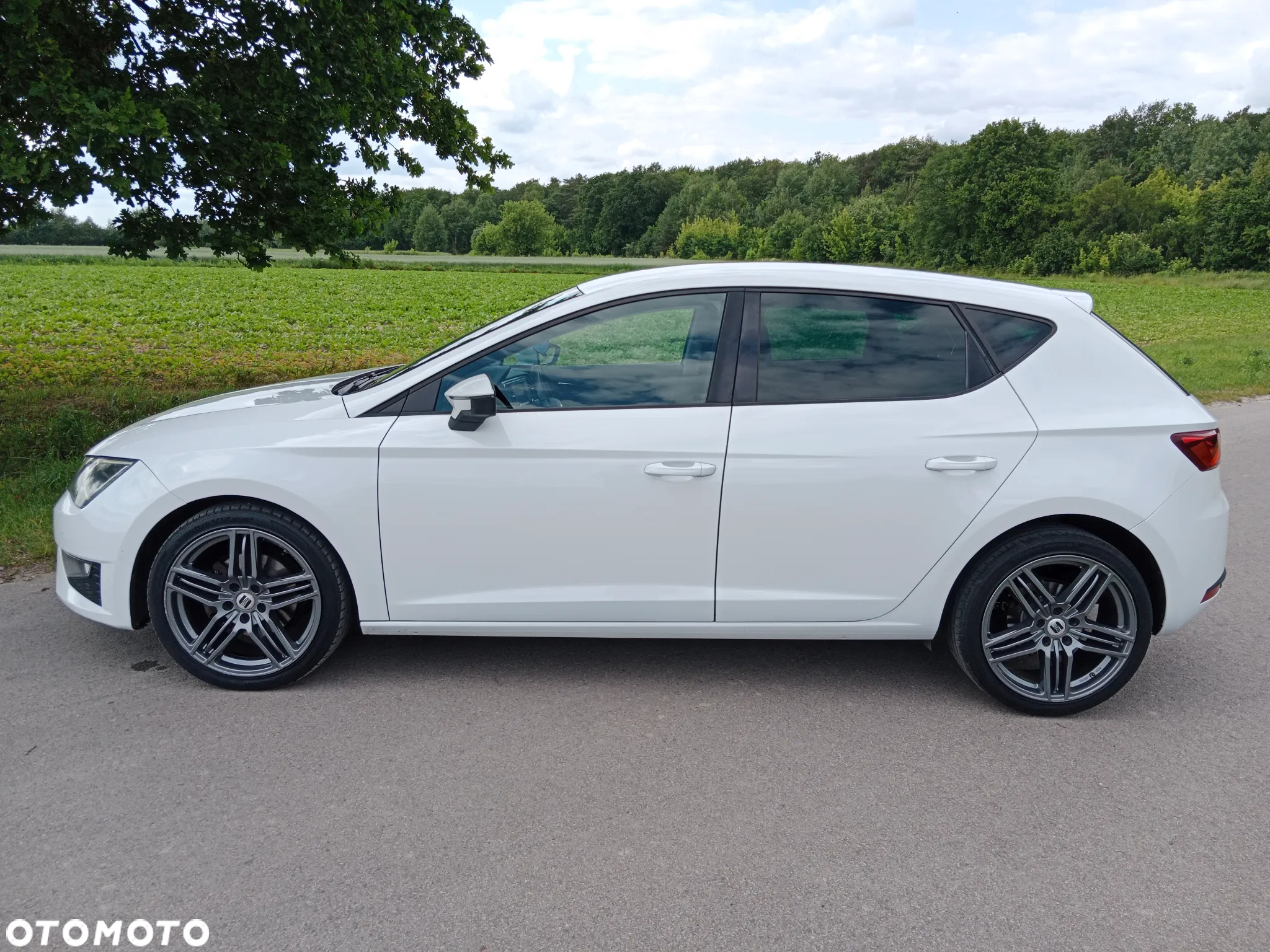 Seat Leon - 16