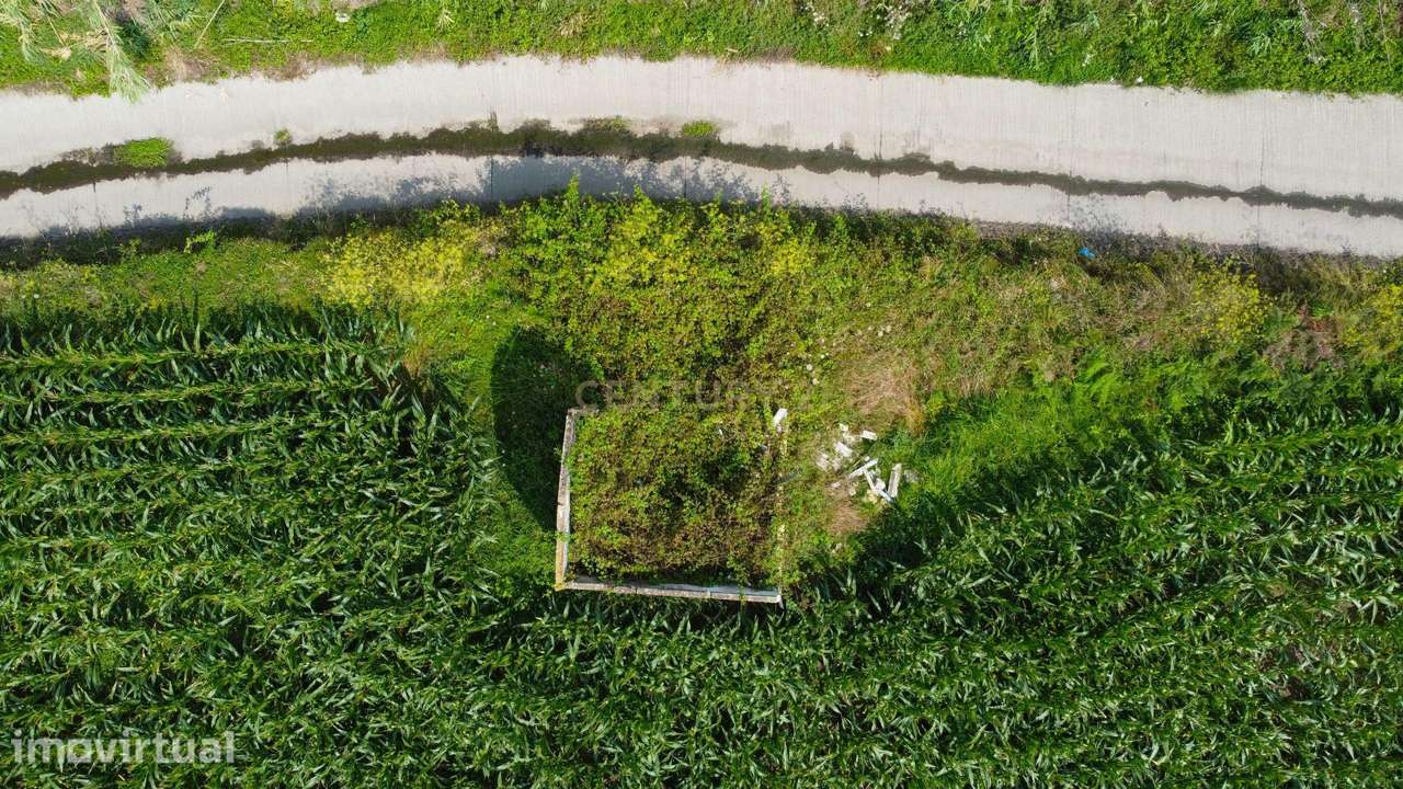 Amplo terreno com 10.620 m² em Água de Pau, Lagoa - Grande imagem: 5/8