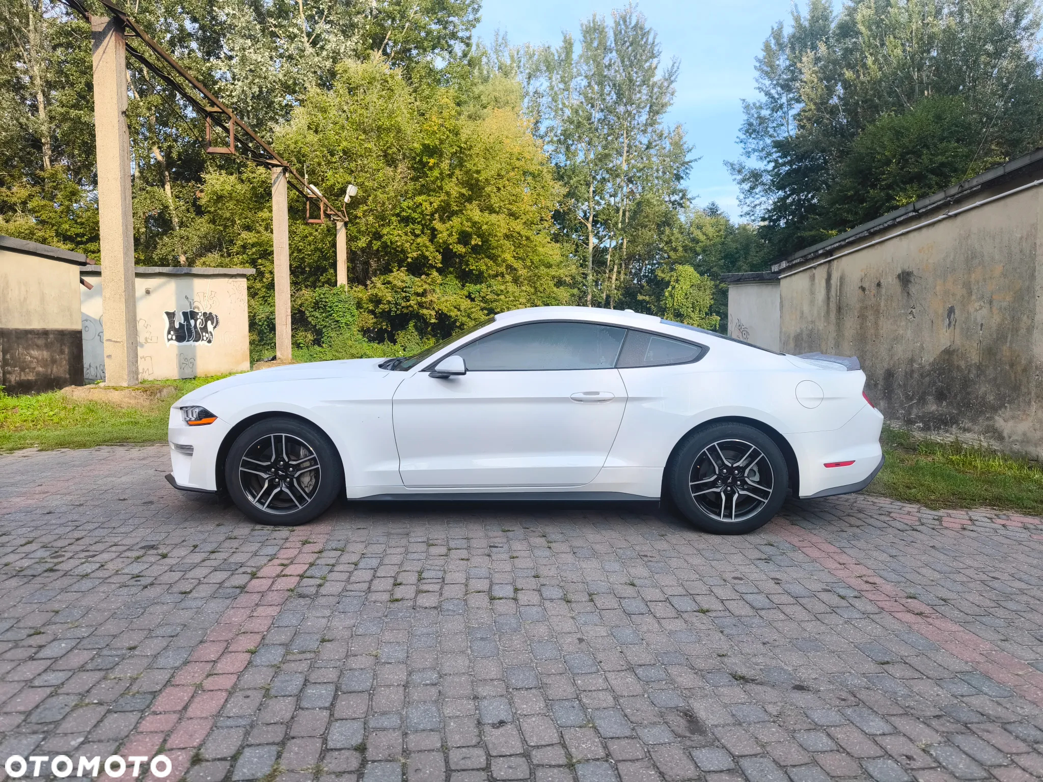 Ford Mustang - 15