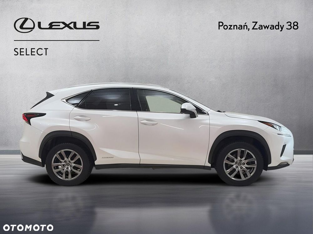 Lexus NX 300h Business Edition AWD - 5