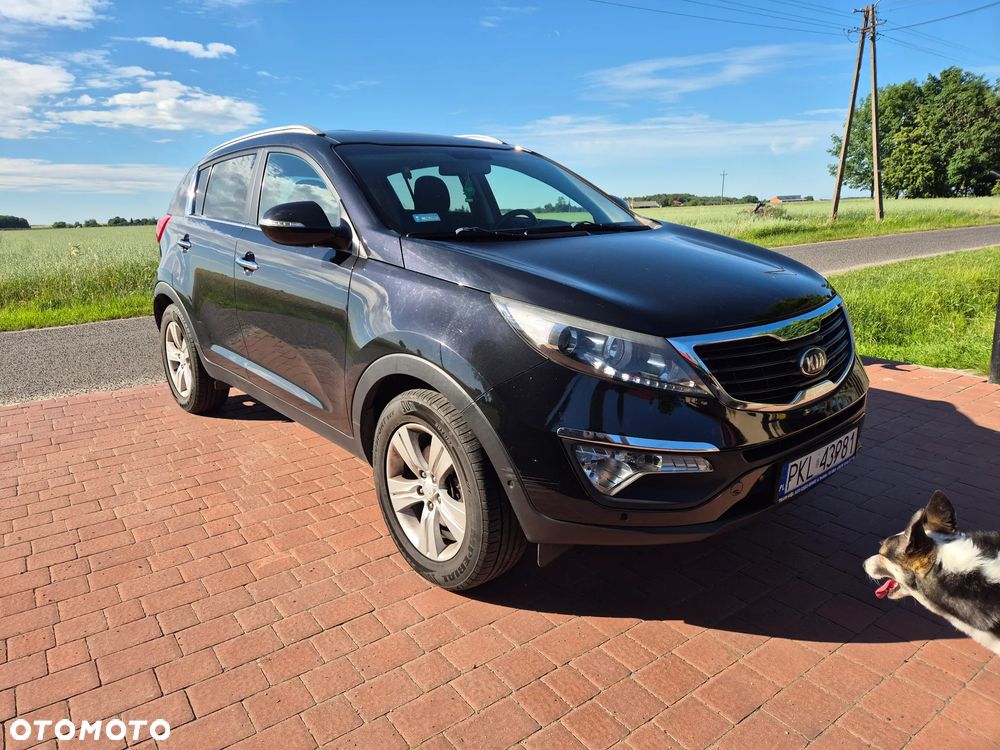 Kia Sportage 1.7 CRDI Business Line 2WD - 7