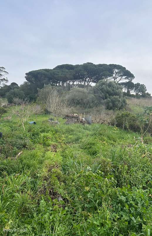 Terreno  para venda - Grande imagem: 3/4