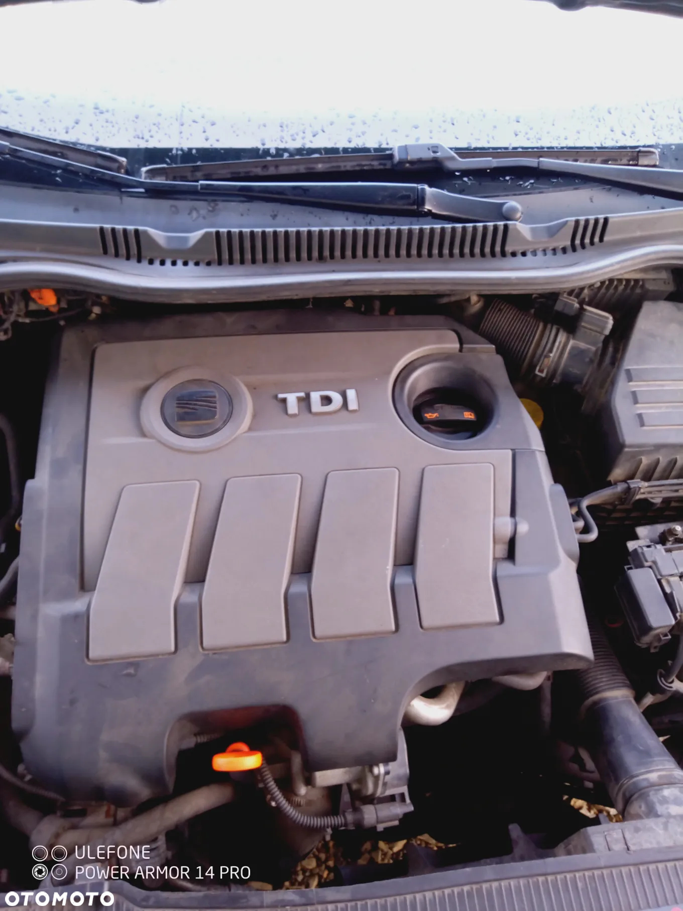 Seat Ibiza 1.6 TDI DPF Entry - 5