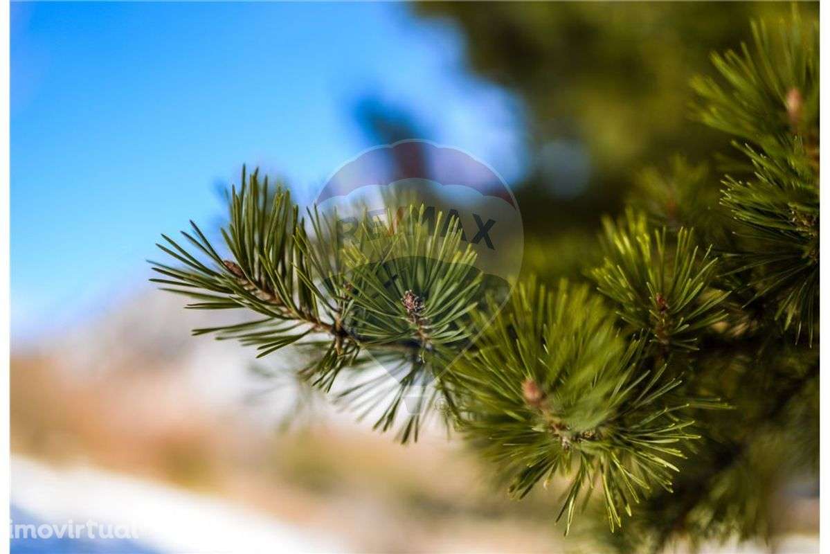 Terreno  para venda - Grande imagem: 3/4