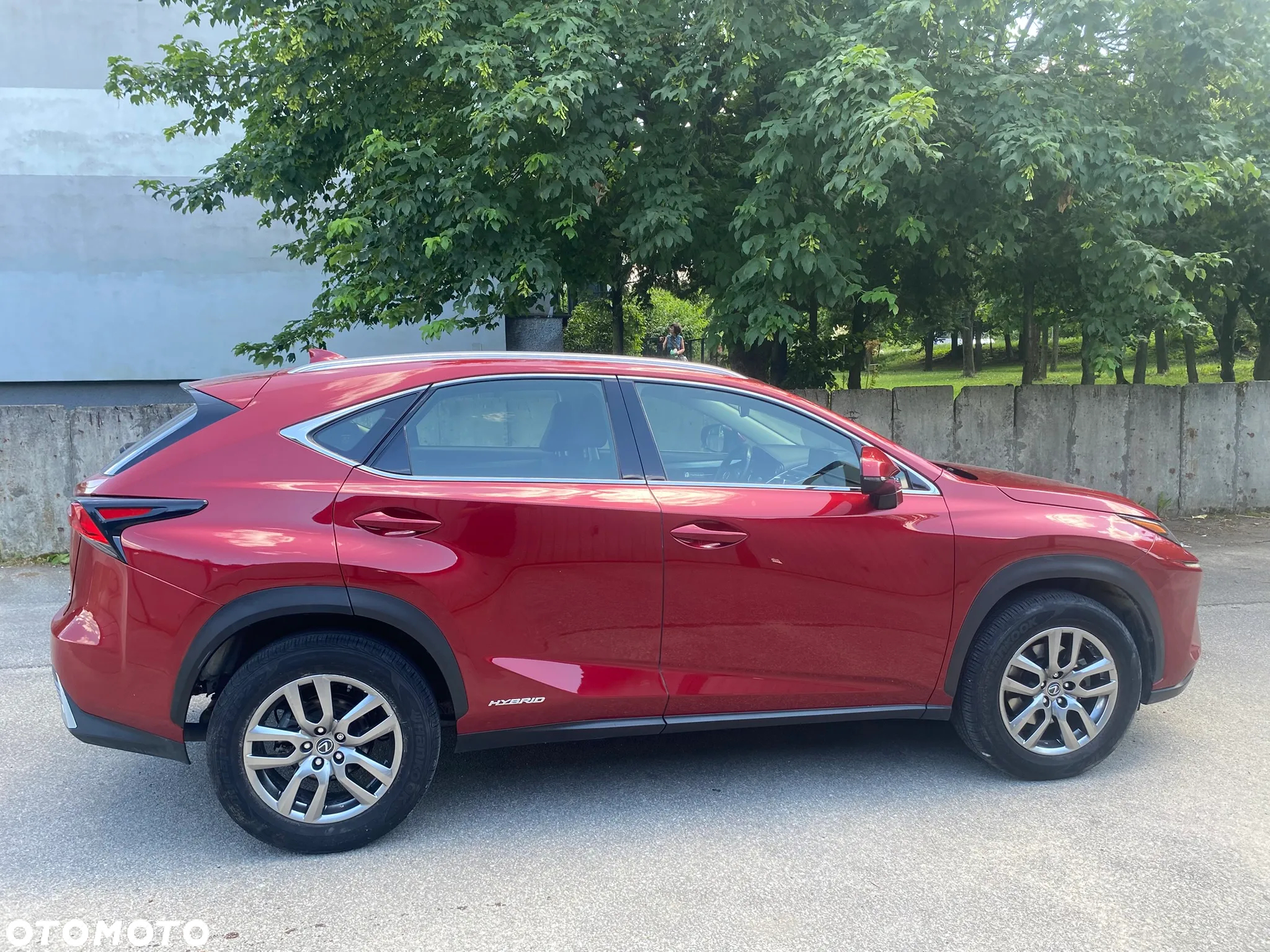 Lexus NX 300h Elegance AWD - 16