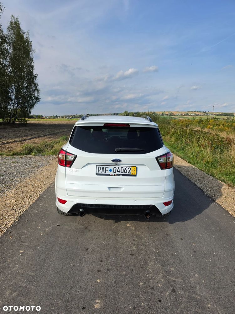 Ford Kuga 2019 photo 5