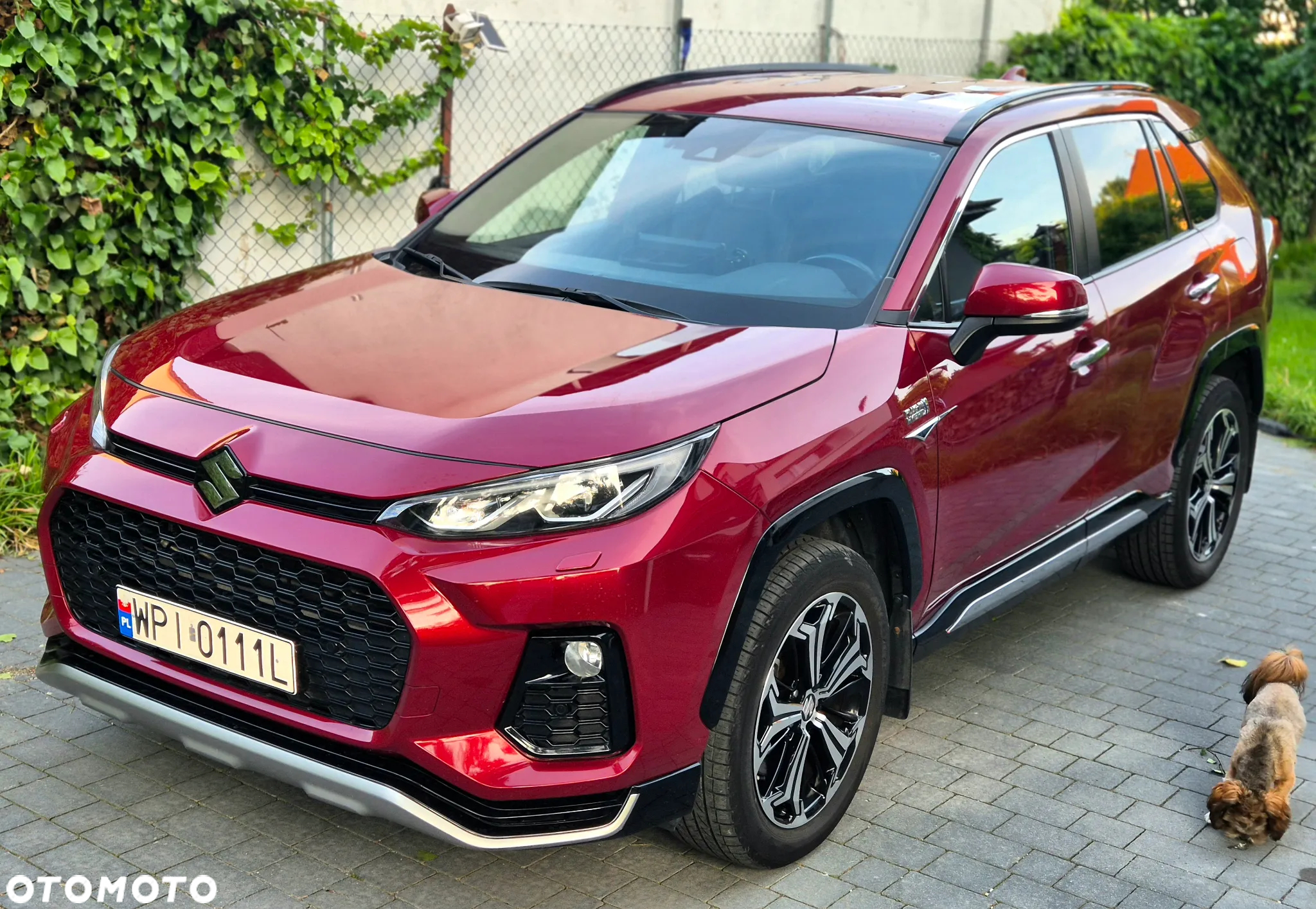 Toyota RAV4 2.5 Plug-In Hybrid Selection 4x4 - 2