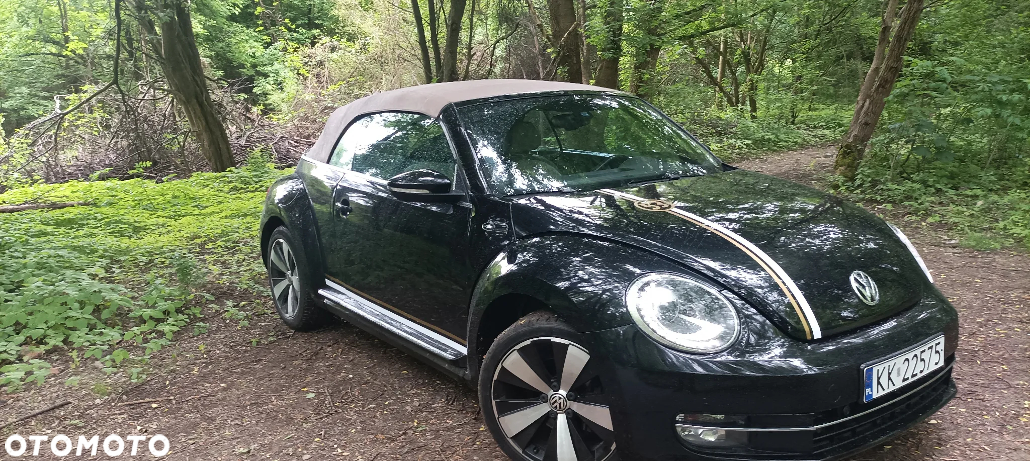 Volkswagen Beetle The Cabriolet 1.2 TSI (BlueMotion Tech) - 39