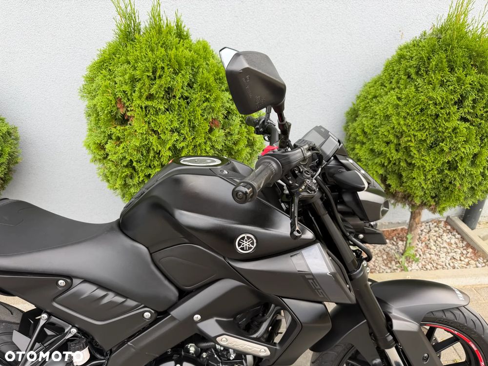 Yamaha MT - 21